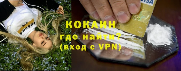 твердый Инта