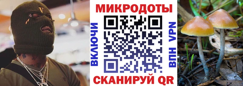 Галлюциногенные грибы GOLDEN TEACHER  Купить где  Рыльск 